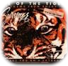 Eye of the tiger
